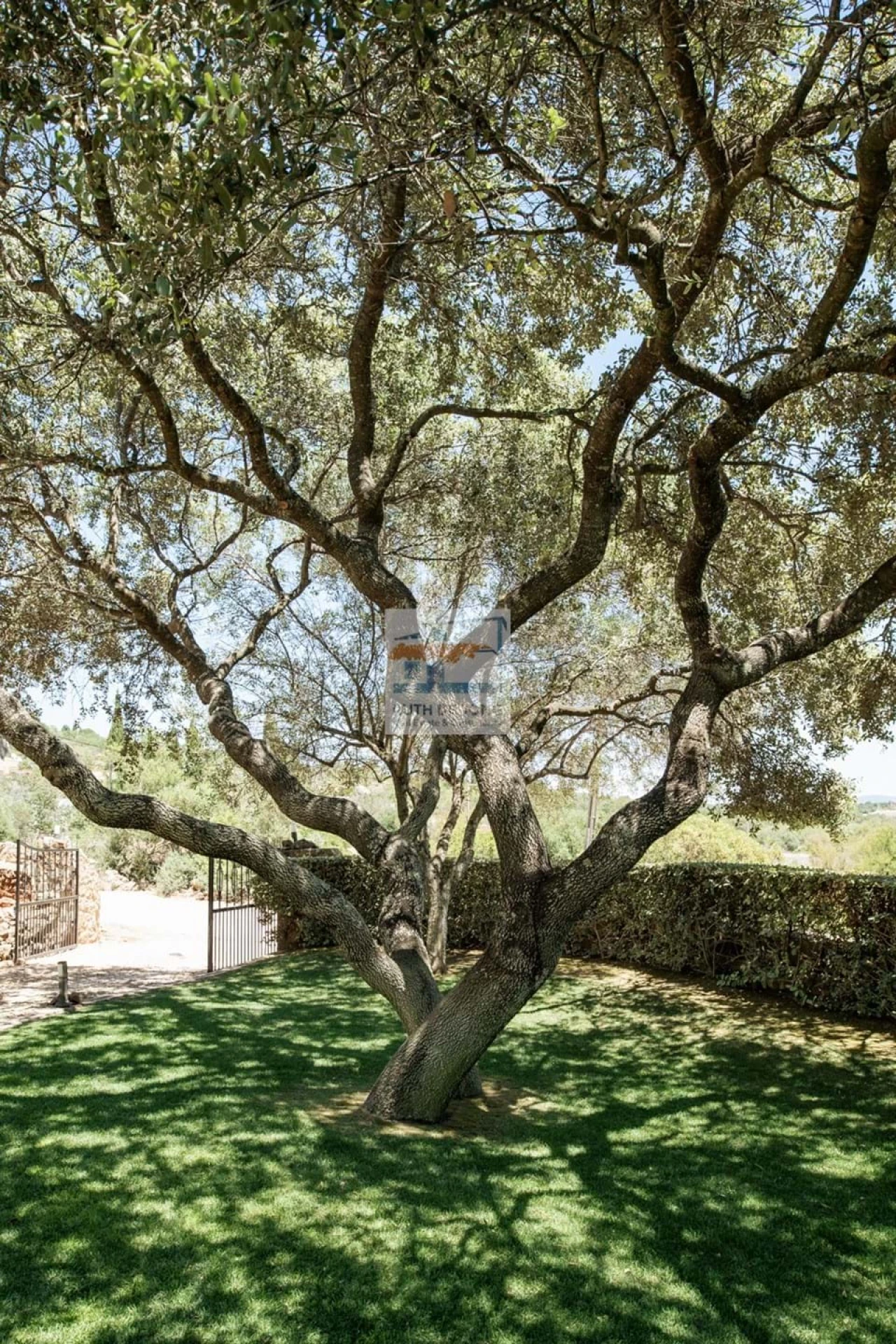 Moradia T5 para Venda em São Silvestre Foto 28