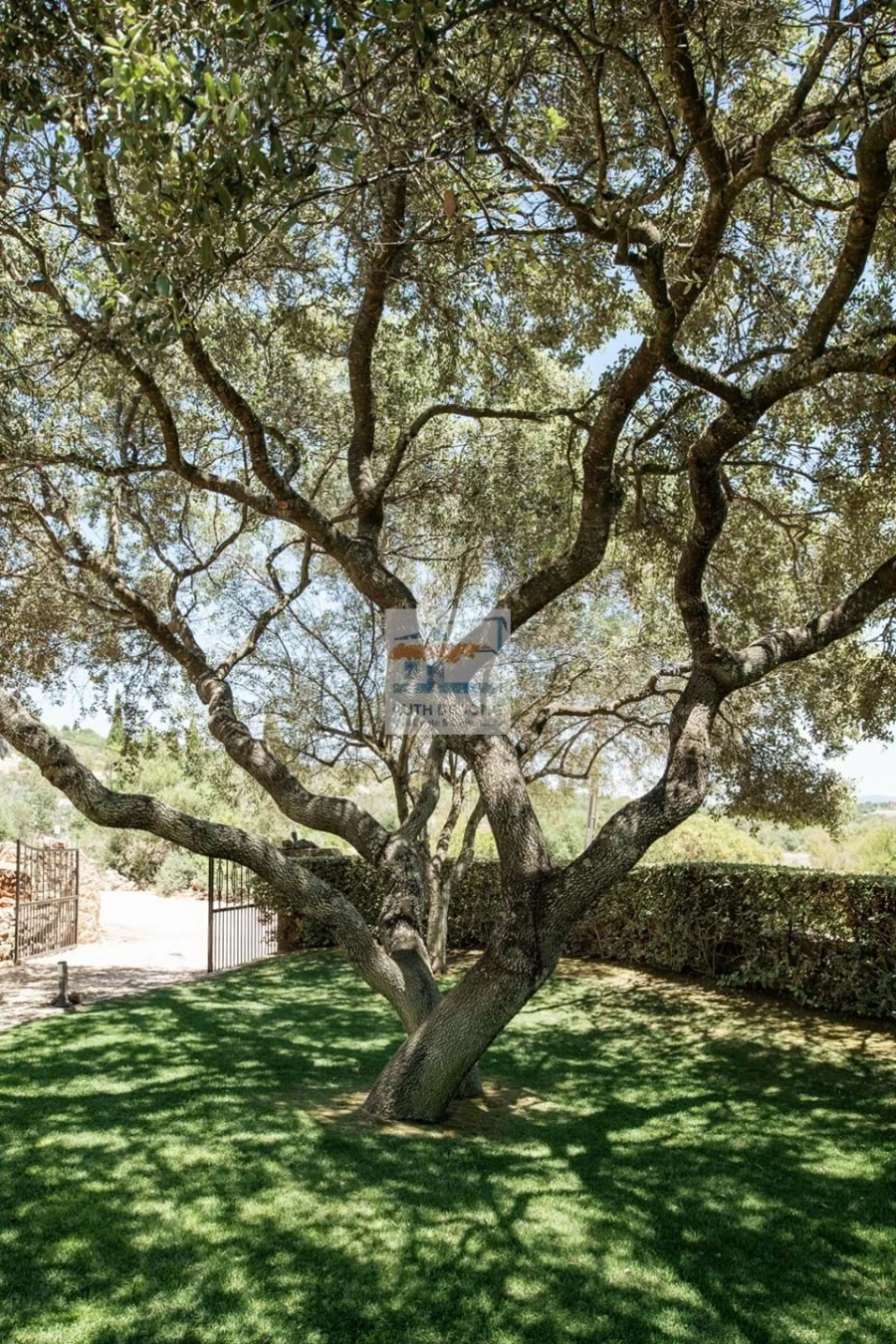 Moradia T5 para Venda em São Silvestre Foto 28