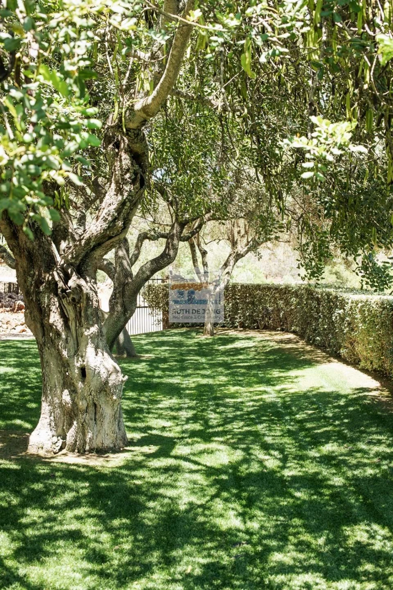 Moradia T5 para Venda em São Silvestre Foto 27