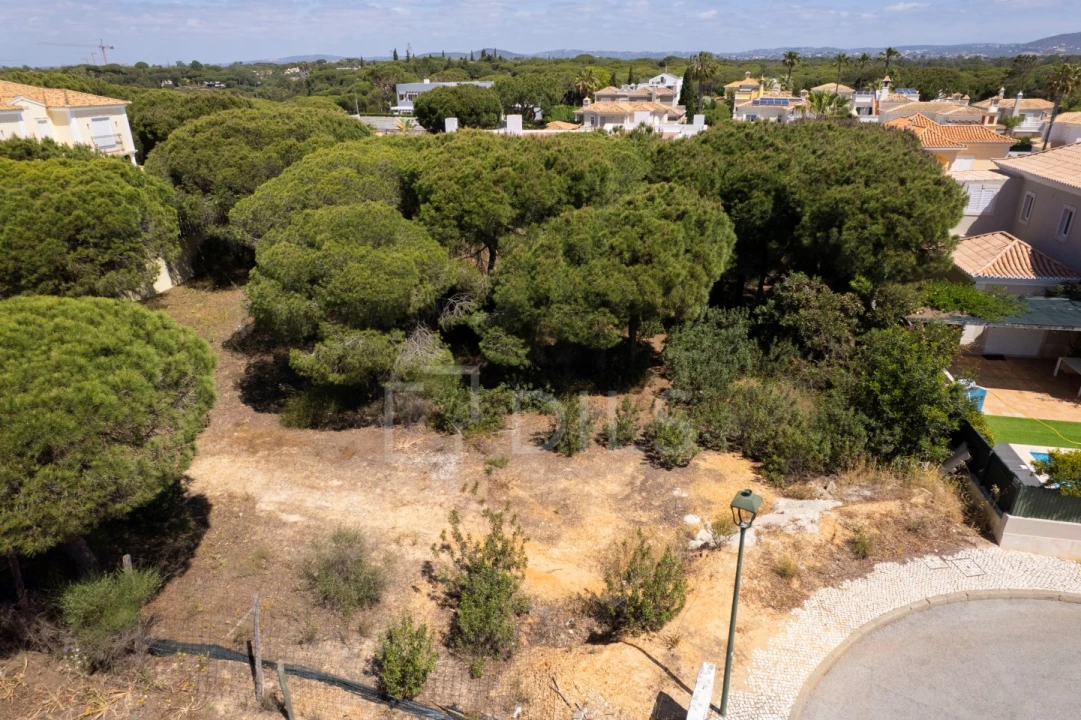 Terreno para Venda em Almancil Foto 2