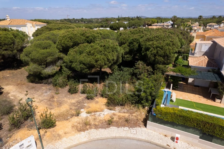 Terreno para Venda em Almancil