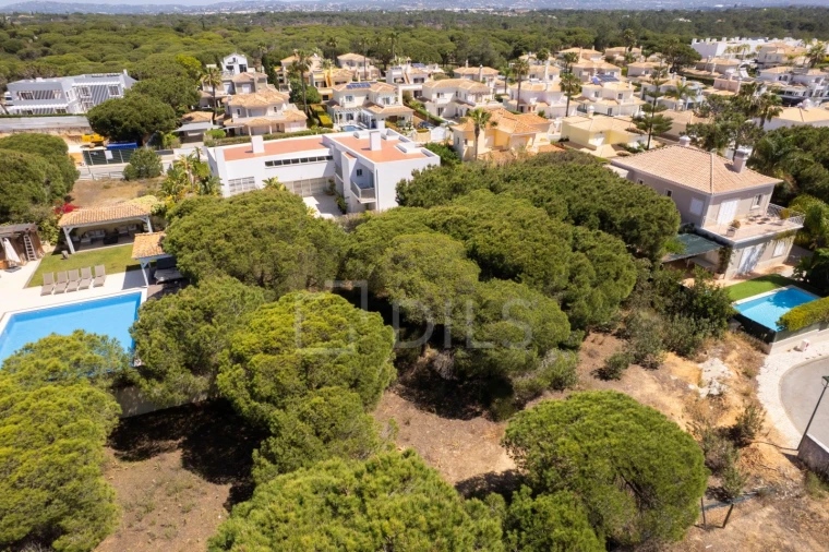 Terreno para Venda em Almancil Foto 3