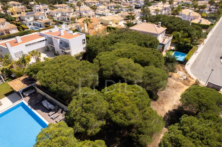 Terreno para Venda em Almancil Foto 4