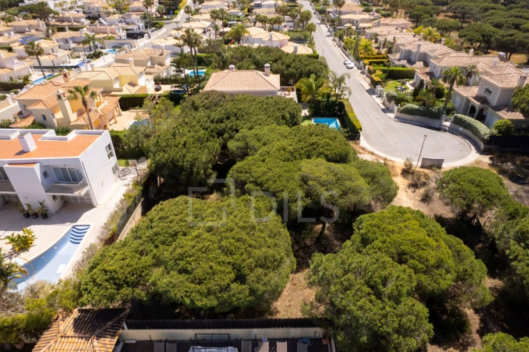 Terreno para Venda em Almancil Foto 6