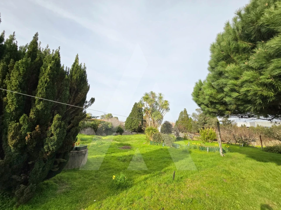 Moradia T3 para Venda em Aradas Foto 31