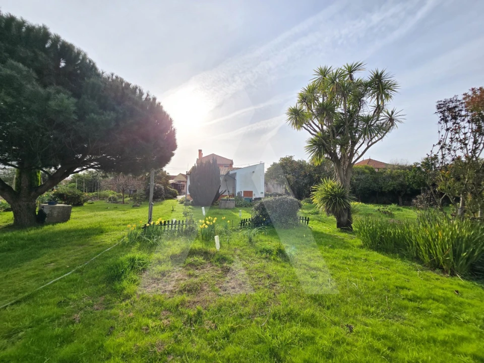 Moradia T3 para Venda em Aradas Foto 32