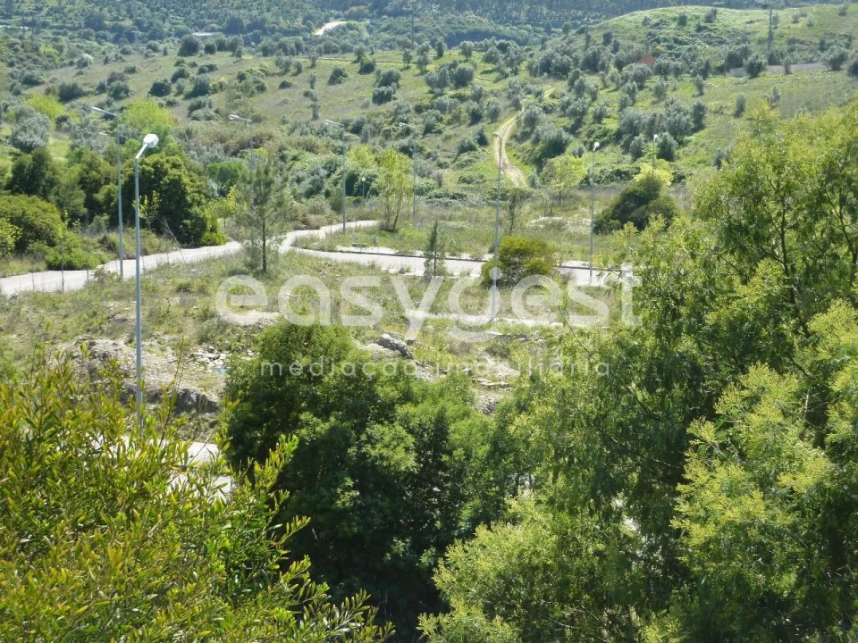 Terreno para Venda em Abrantes (São Vicente e São João) e Alferrarede Foto 3