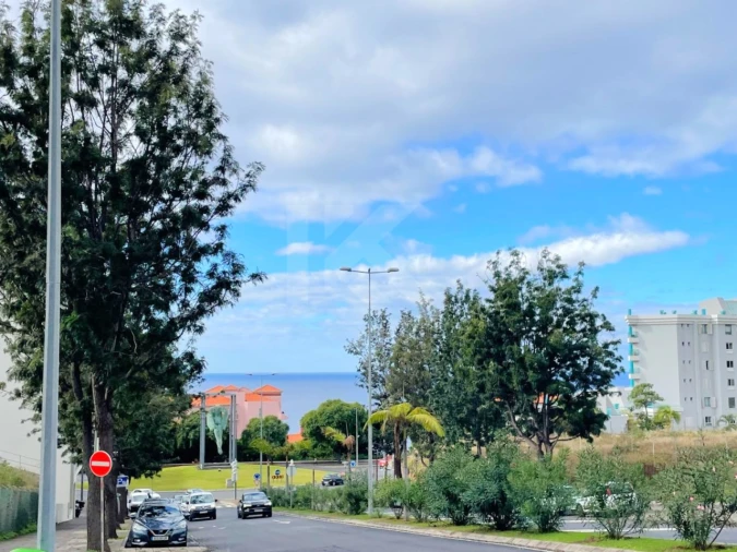 Loja para Arrendamento em São Martinho Foto 21