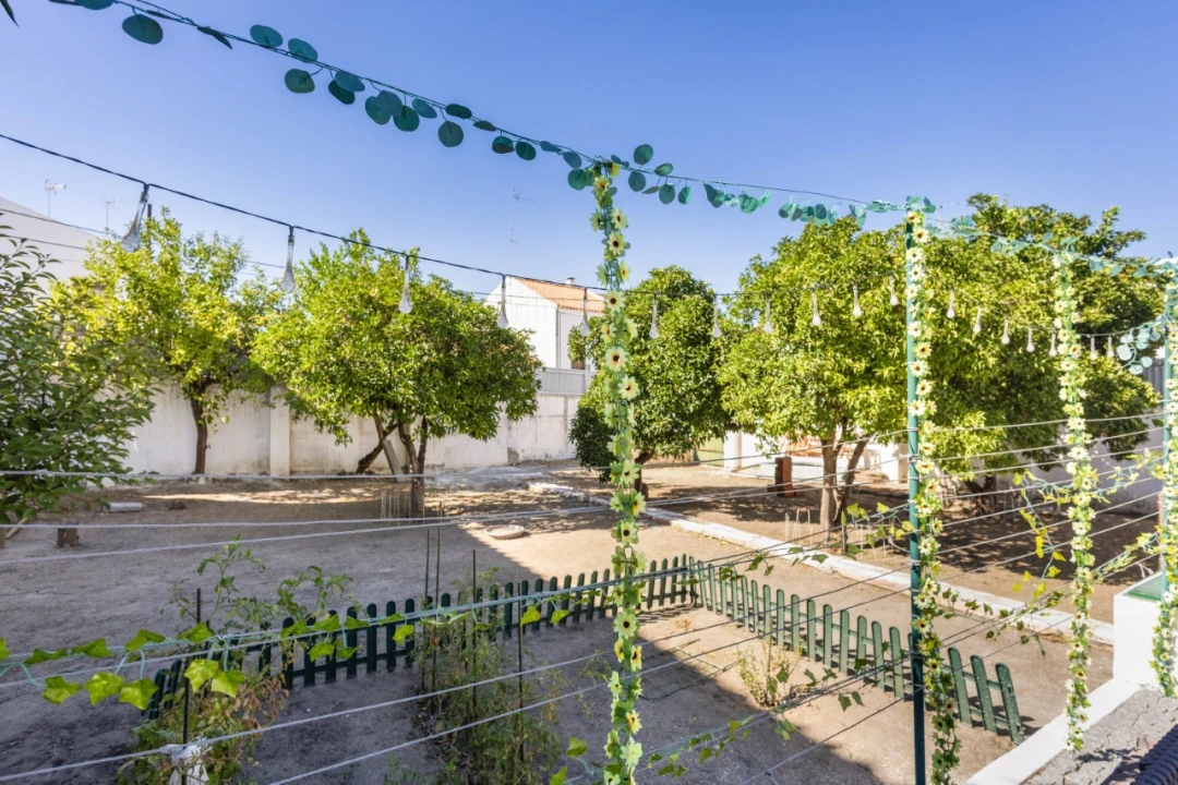 Moradia T9 para Venda em Vimieiro Foto 20