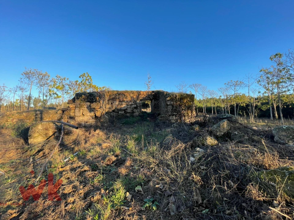 Moradia para Venda em Covas e Vila Nova de Oliveirinha Foto 5