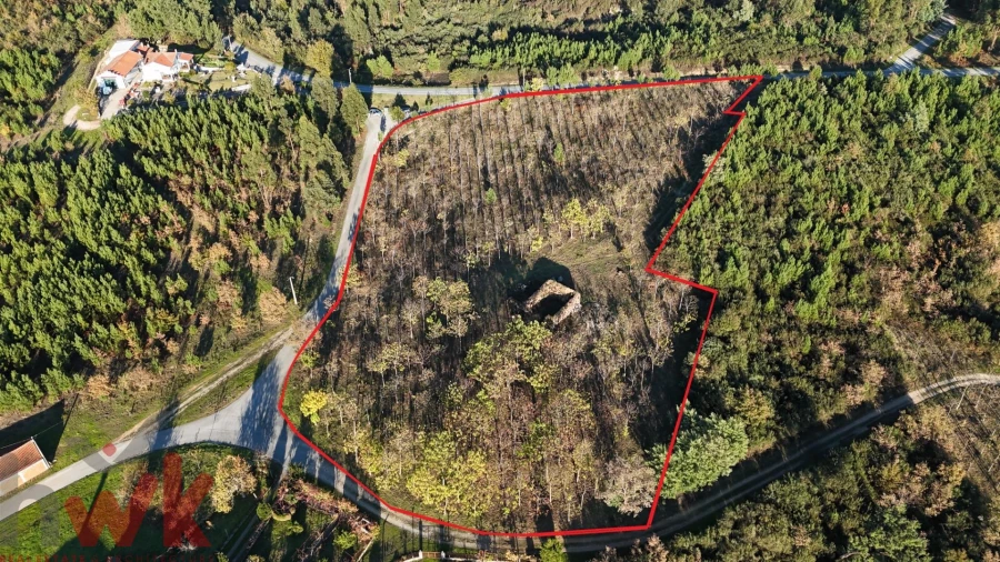 Moradia para Venda em Covas e Vila Nova de Oliveirinha Foto 1