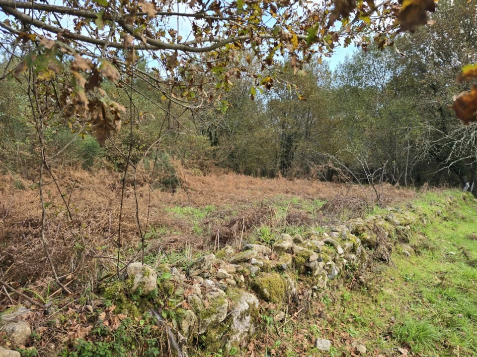 Terreno para Venda em Covas Foto 3