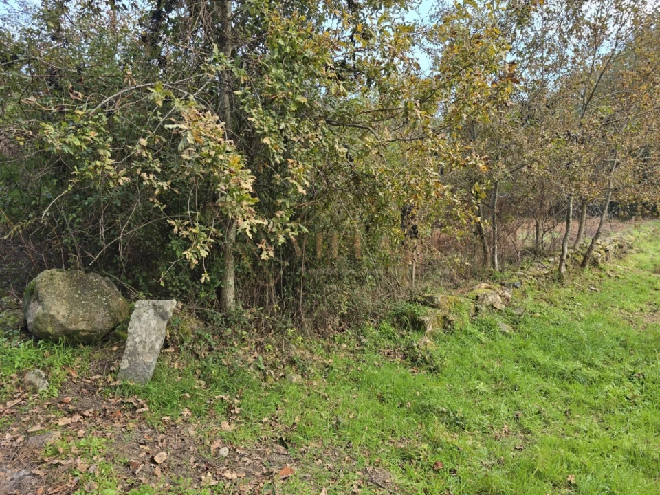 Terreno para Venda em Covas Foto 4