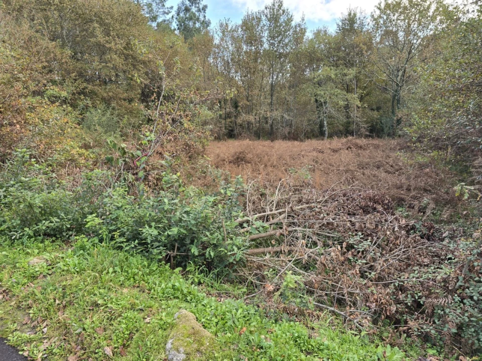 Terreno para Venda em Covas Foto 7