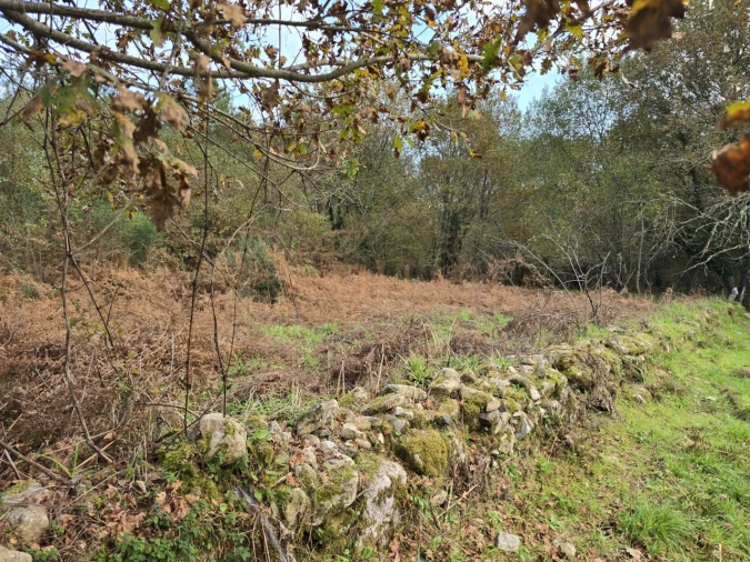 Terreno para Venda em Covas Foto 3