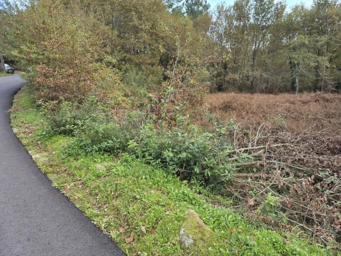 Terreno para Venda em Covas Foto 5