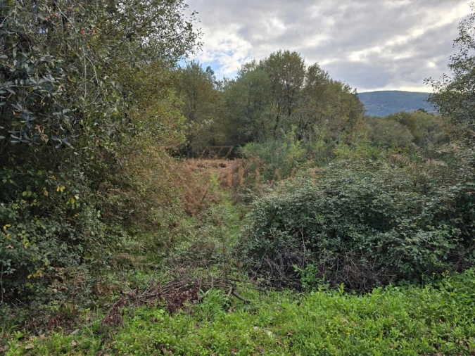 Terreno para Venda em Covas Foto 6