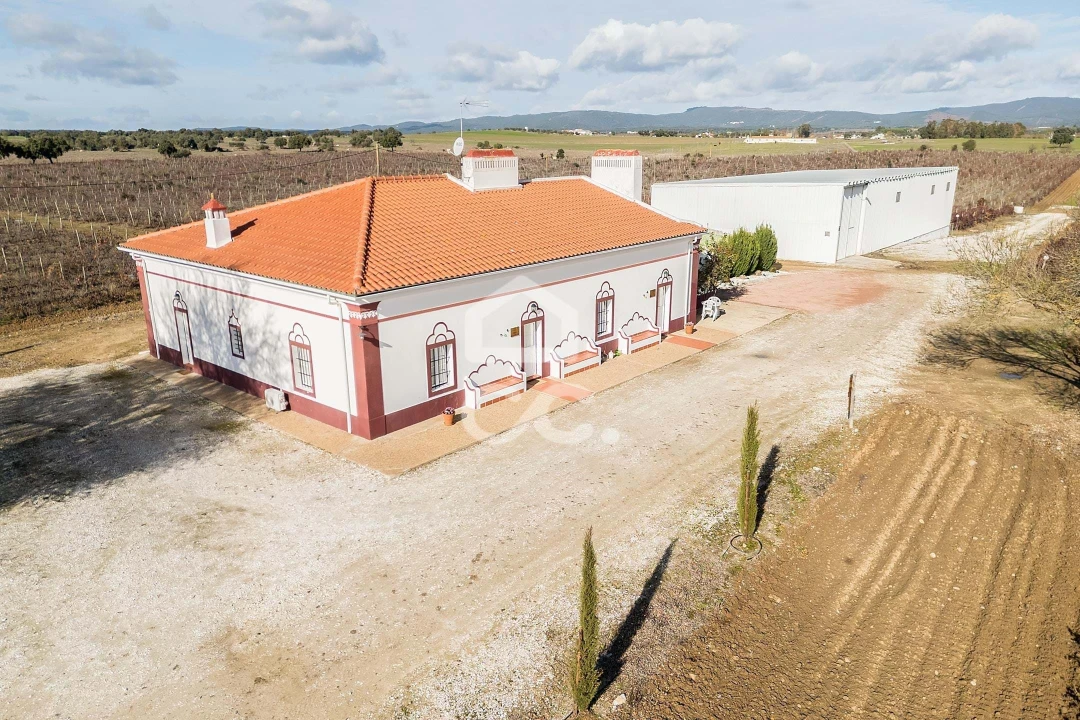 Quinta T10 para Venda em Redondo Foto 76