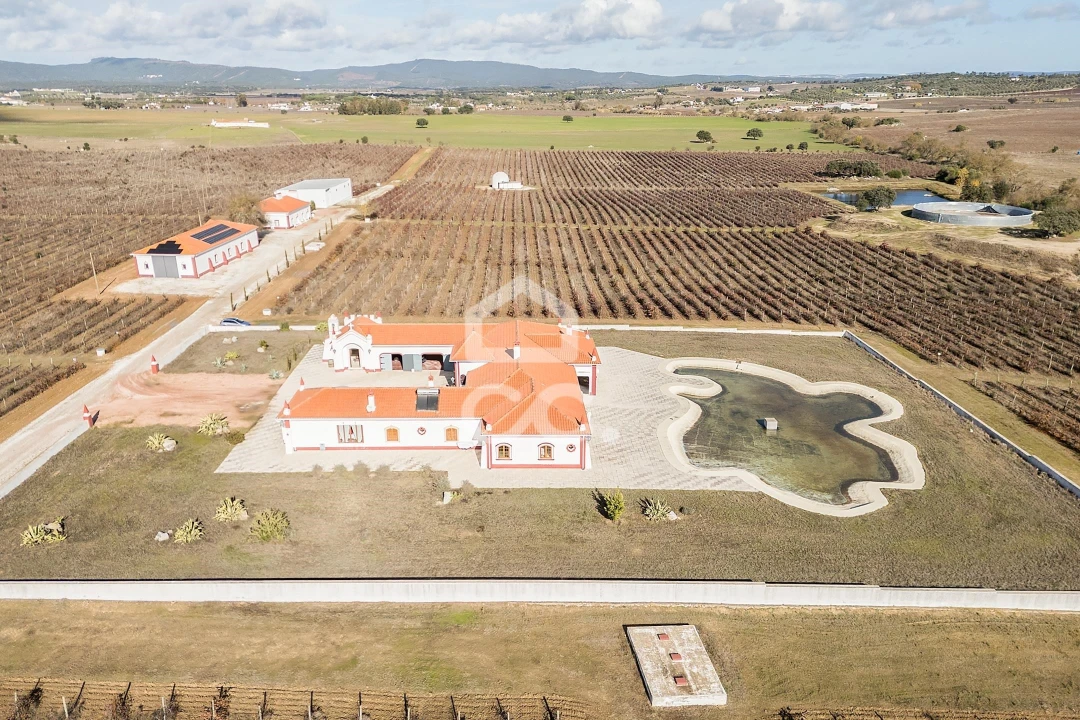 Quinta T10 para Venda em Redondo Foto 87