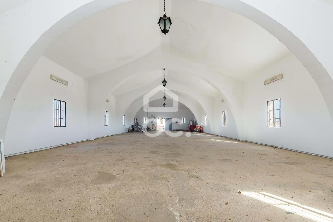 Quinta T10 para Venda em Redondo Foto 34