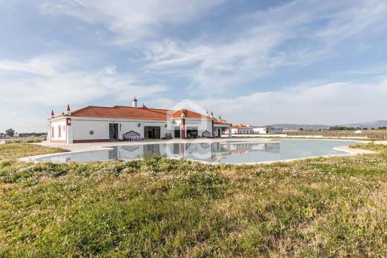 Quinta T10 para Venda em Redondo Foto 9