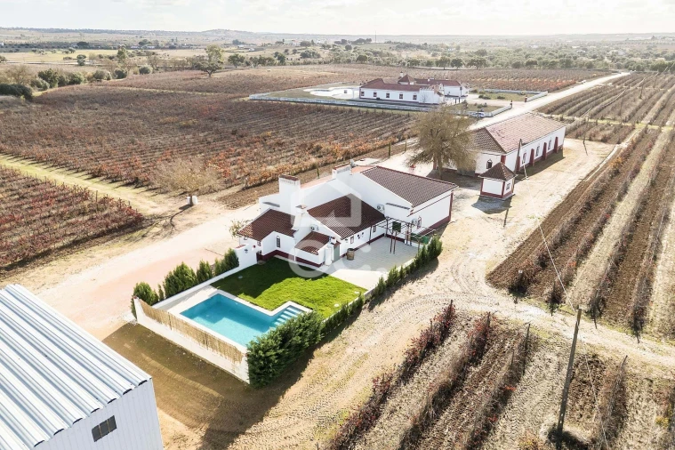 Quinta T10 para Venda em Redondo Foto 7