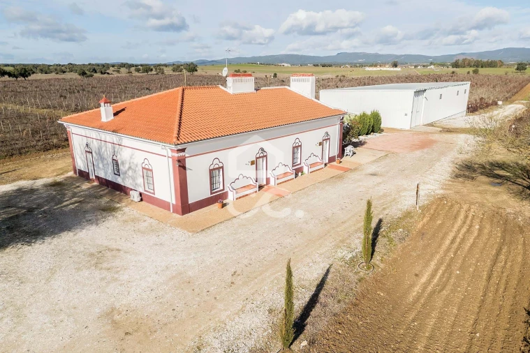 Quinta T10 para Venda em Redondo Foto 76