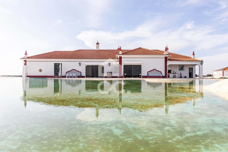 Quinta T10 para Venda em Redondo Foto 4