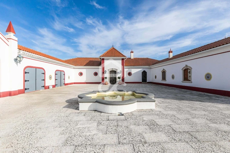 Quinta T10 para Venda em Redondo Foto 65