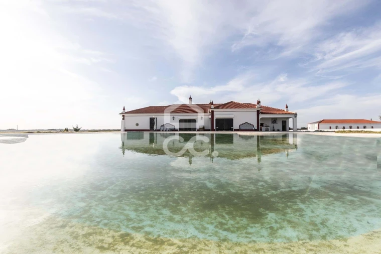 Quinta T10 para Venda em Redondo Foto 69