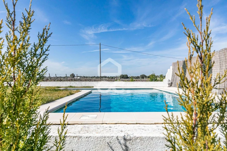 Quinta T10 para Venda em Redondo Foto 56