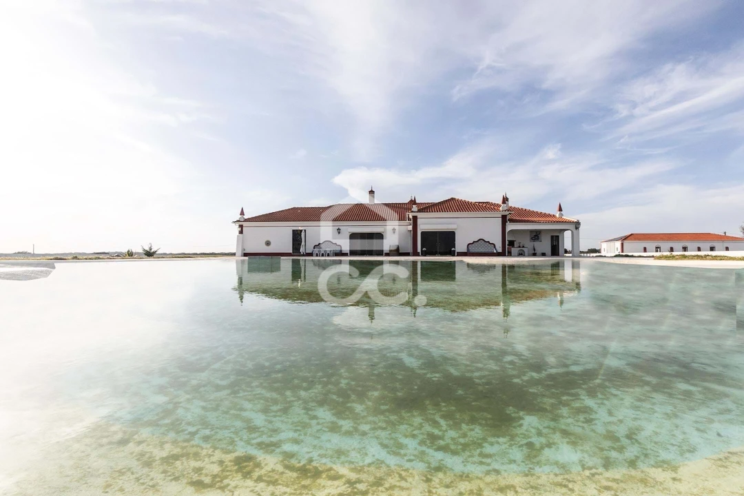 Quinta T10 para Venda em Redondo Foto 69