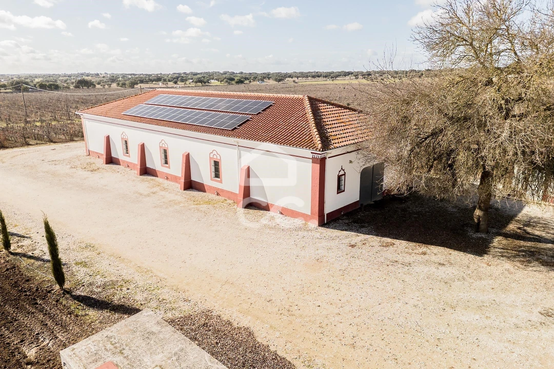 Quinta T10 para Venda em Redondo Foto 89