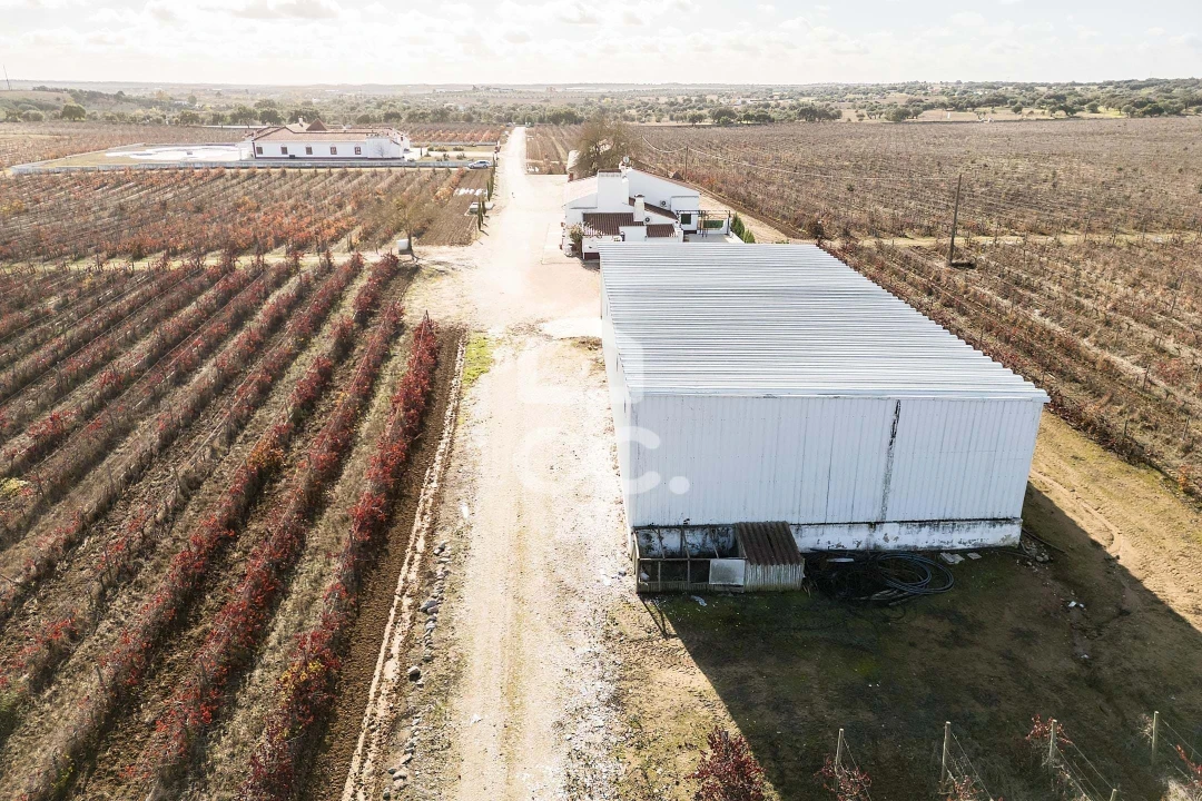 Quinta T10 para Venda em Redondo Foto 90