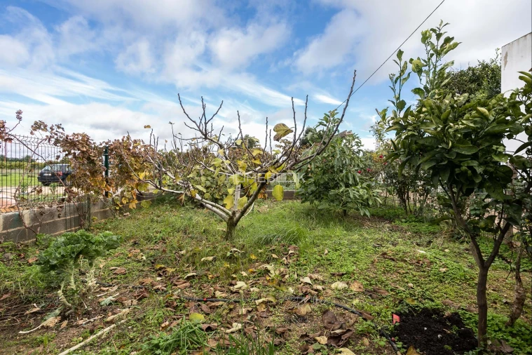 Moradia T2 para Venda em Conceição e Cabanas de Tavira Foto 4