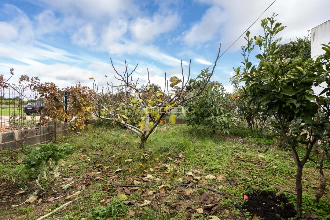 Moradia T2 para Venda em Conceição e Cabanas de Tavira Foto 4