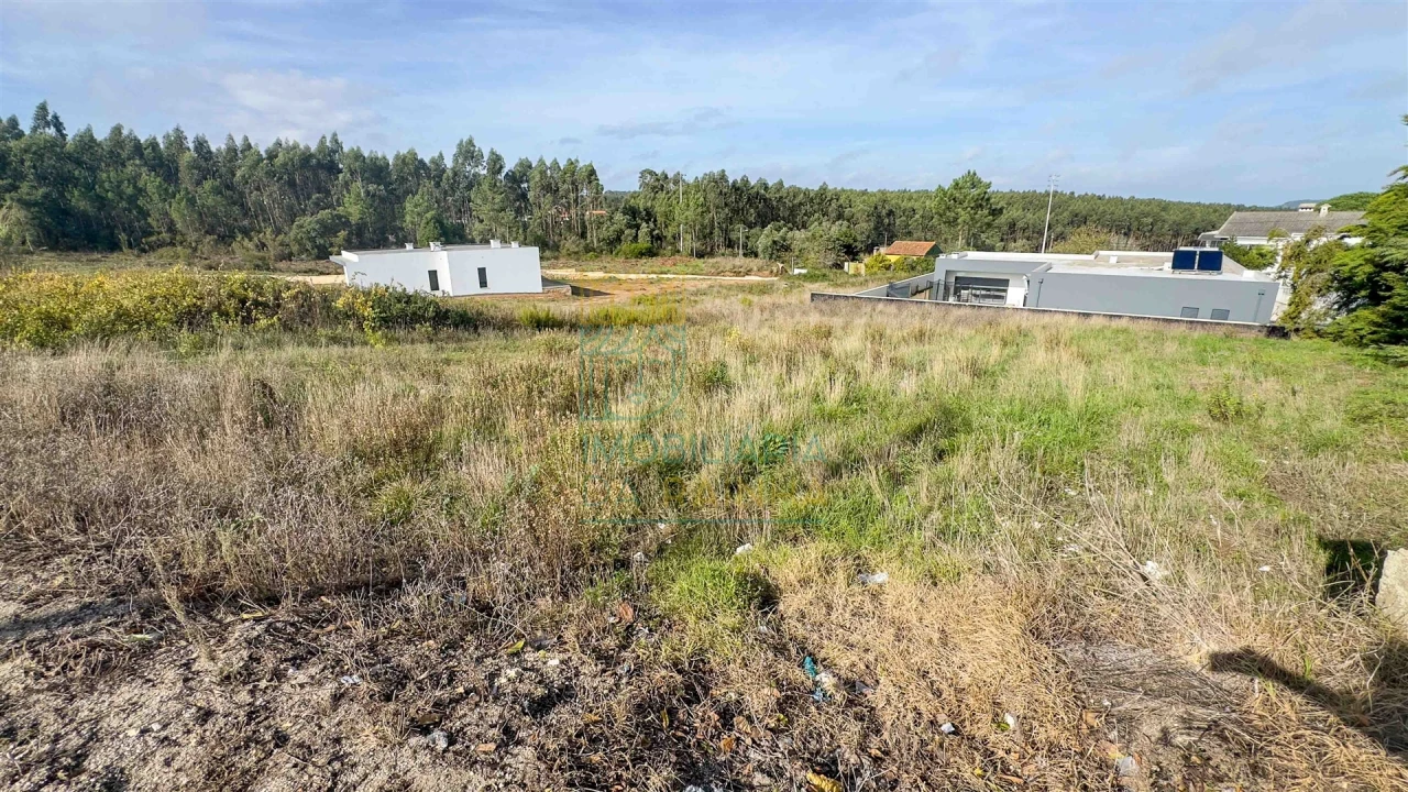 Terreno para Venda em Salir de Matos Foto 6
