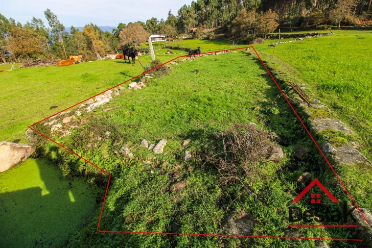 Quinta T3 para Venda em Arcozelo das Maias Foto 22