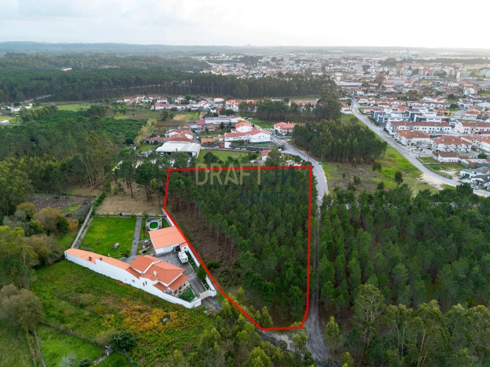 Terreno para Venda em Marinha Grande Foto 1