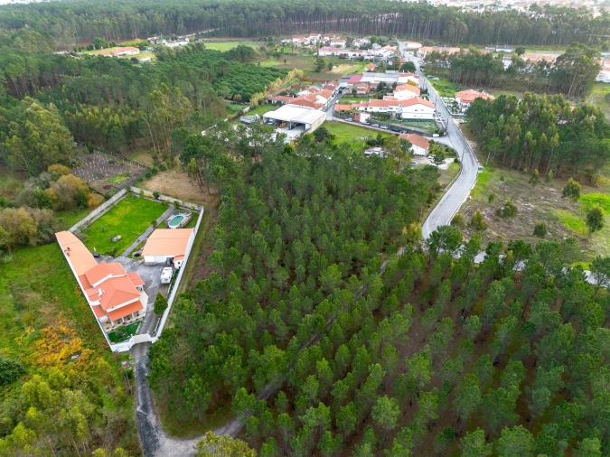 Terreno para Venda em Marinha Grande Foto 9