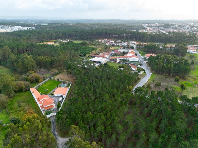 Terreno para Venda em Marinha Grande Foto 6