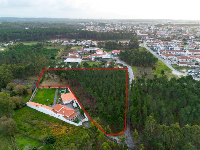 Terreno para Venda em Marinha Grande