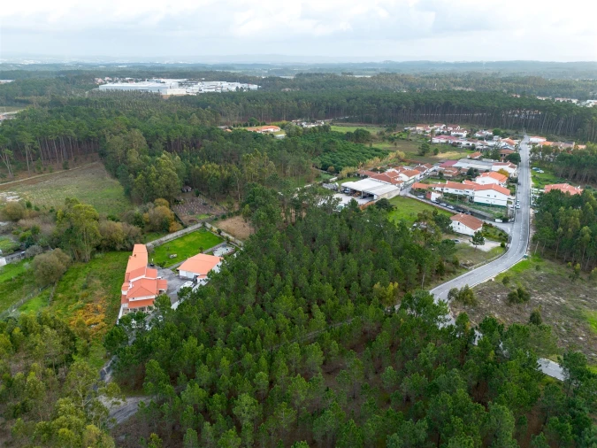 Terreno para Venda em Marinha Grande Foto 5