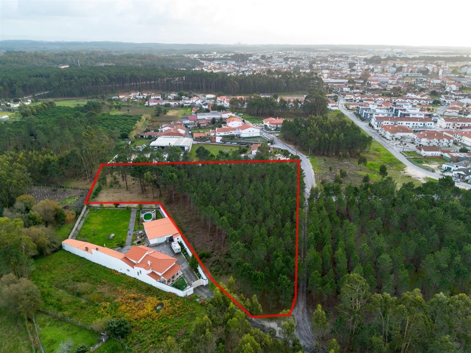 Terreno para Venda em Marinha Grande Foto 1