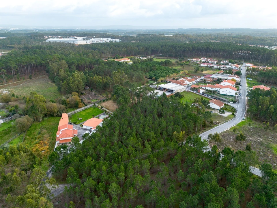 Terreno para Venda em Marinha Grande Foto 5