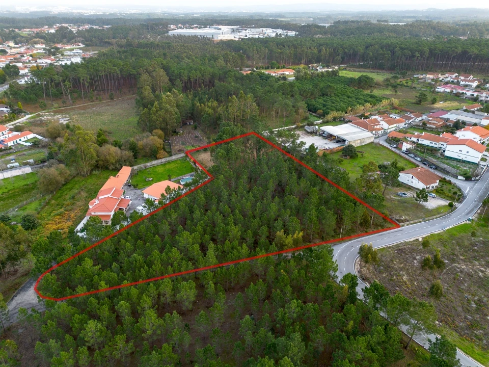 Terreno para Venda em Marinha Grande Foto 2