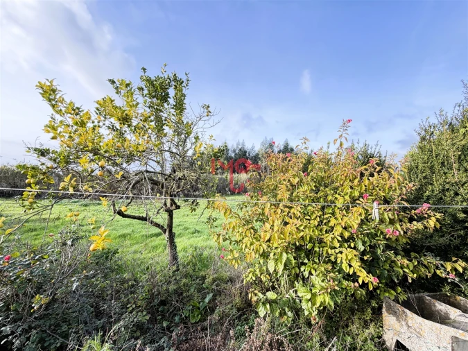 Moradia T3 para Venda em Alvorninha Foto 17