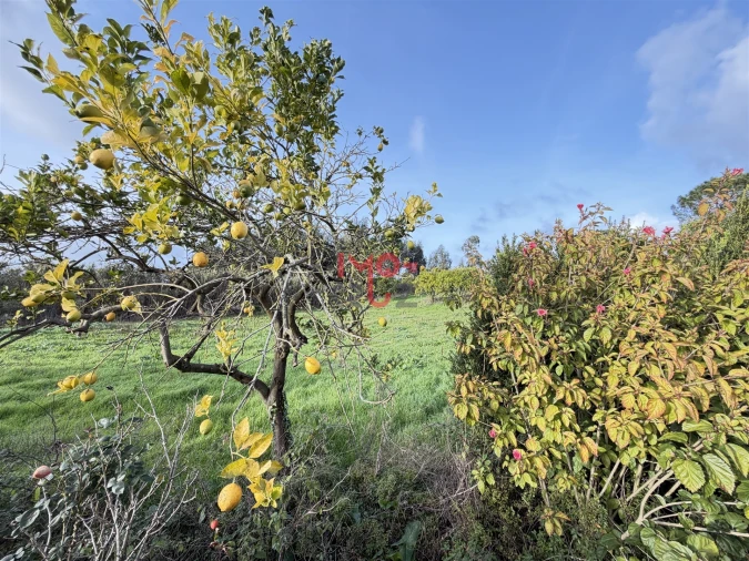 Moradia T3 para Venda em Alvorninha Foto 18