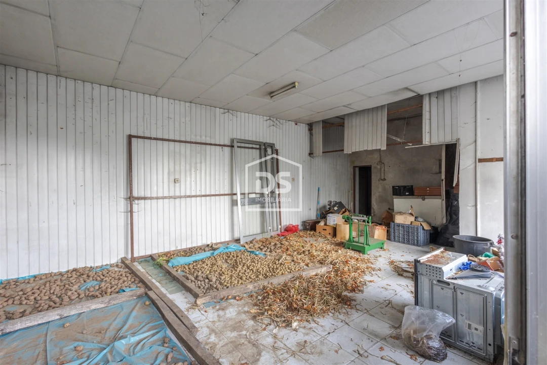 Moradia T3 para Venda em Paço de Sousa Foto 15