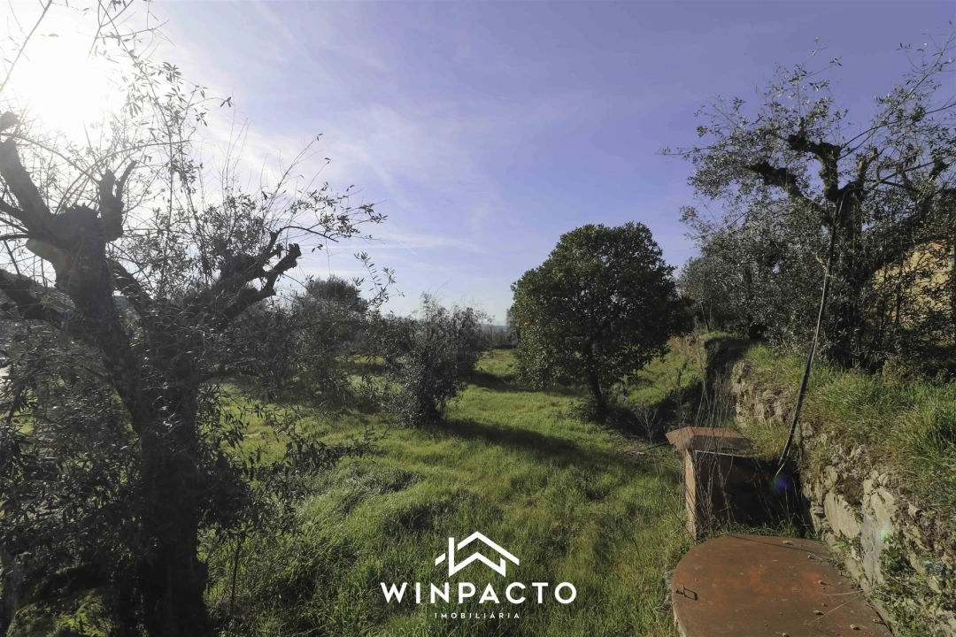 Moradia T2 para Venda em Espinho Foto 8